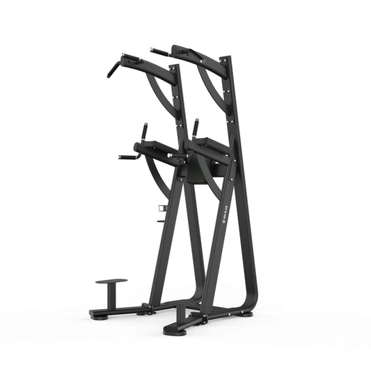 Aparat fitness SHUA Chin dip /Leg Raise
